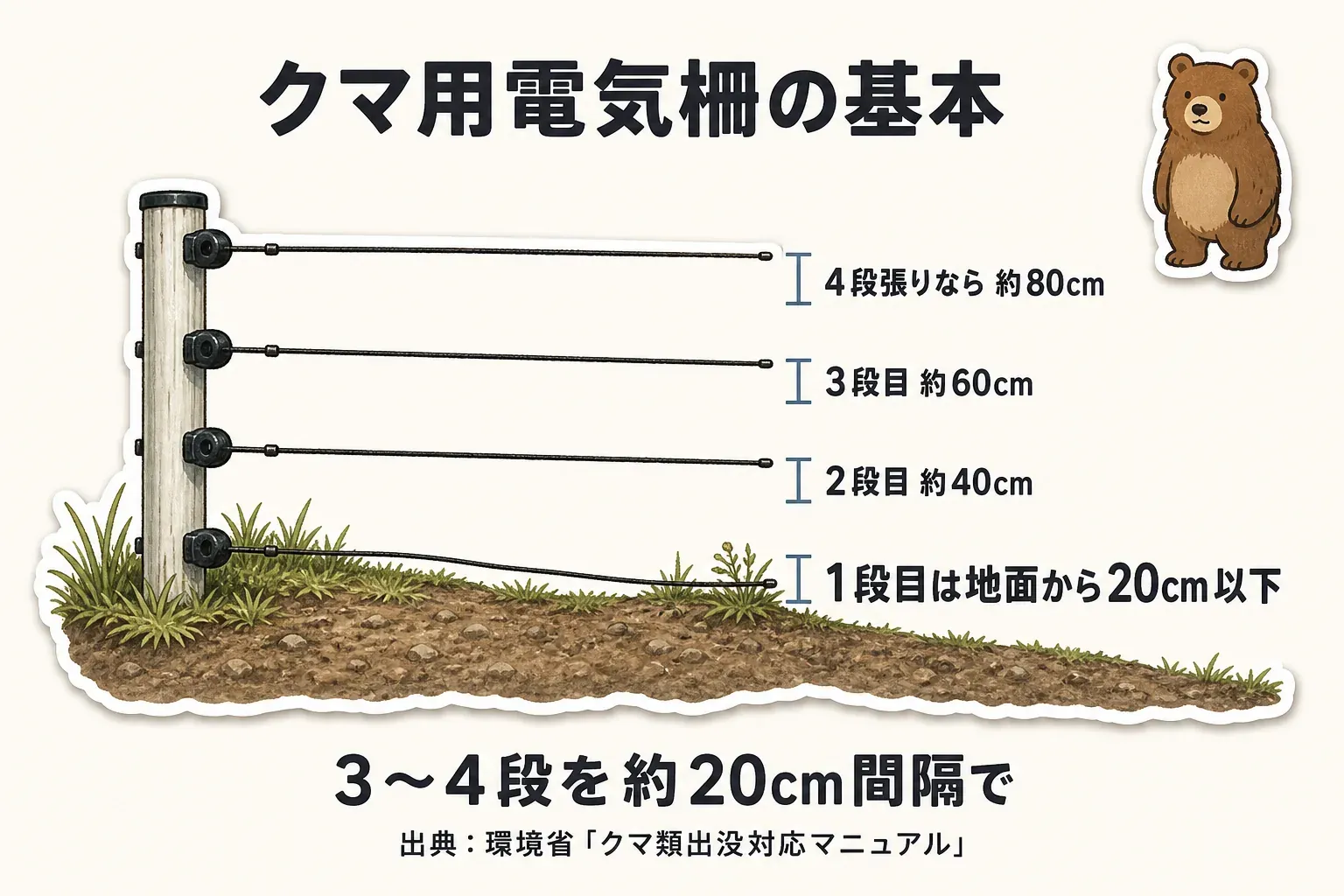 クマ用電気柵は1段目を地面から20cm以下、2段目を約40cm、3段目を約60cm、4段張りなら約80cmとし、3〜4段を約20cm間隔で張ることを示す図。出典：環境省「クマ類出没対応マニュアル」
